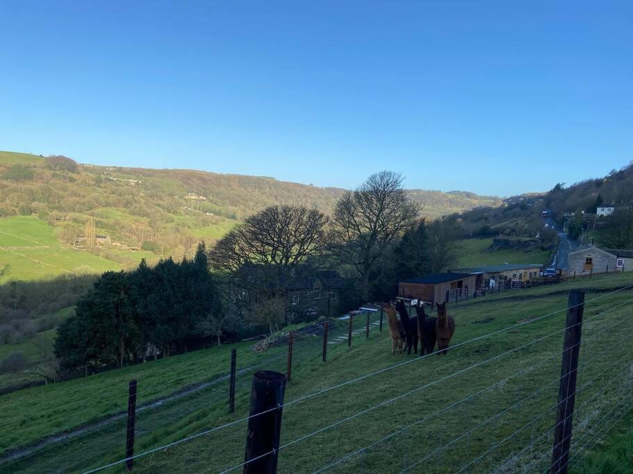 Unique Victorian Stable Conversion Halifax Zewnętrze zdjęcie